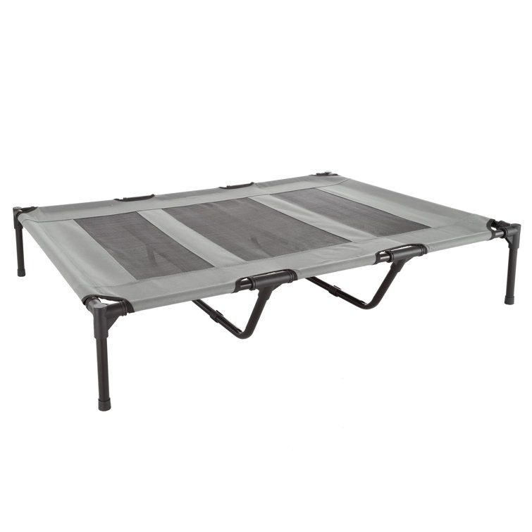 Elevated cot best sale